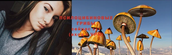 не бодяженный Бородино