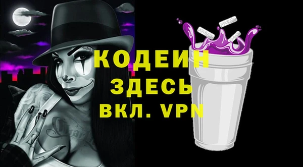 крисы Верхний Тагил