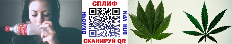 Купить закладки  Конаково  Бошки марихуана марихуана 